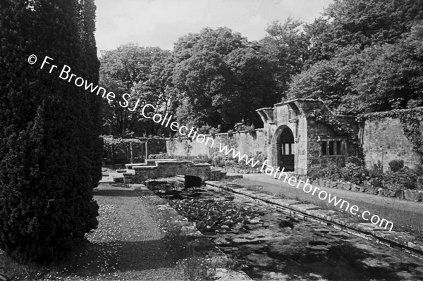 DROMOLAND CASTLE IN THE GARDEN LILLY POND